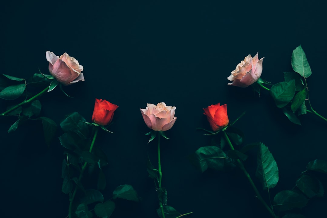 Ray Klaassens gelukkig in de liefde met Noi Pakon